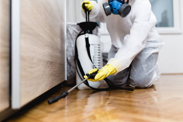 Pest Control Cost in Oxford, MS