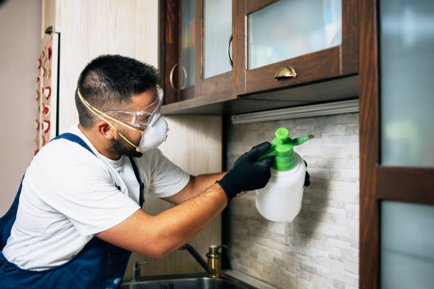 Best Exterminator Services  in Oxford, MS