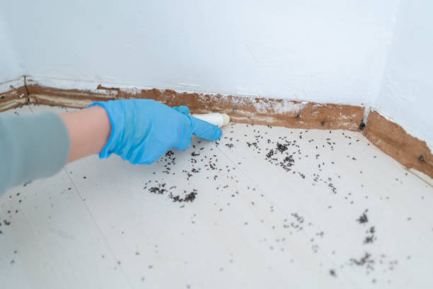 Best Termite Control Services  in Oxford, MS